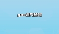 gas是汽油吗
