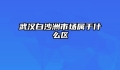 武汉白沙洲市场属于什么区