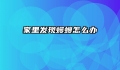 家里发现蠼螋怎么办