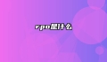 rpo是什么