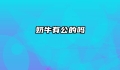 奶牛有公的吗