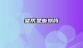 壁虎是蜥蜴吗