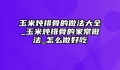 玉米炖排骨的做法大全_玉米炖排骨的家常做法_怎么做好吃