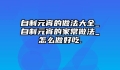 自制元宵的做法大全_自制元宵的家常做法_怎么做好吃.