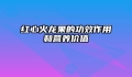 红心火龙果的功效作用和营养价值