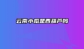 云南小瓜是西葫芦吗
