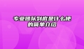 专业团队到底是什么梗的简单介绍