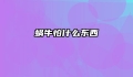 蜗牛怕什么东西