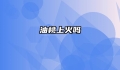 油桃上火吗