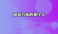 适应力指的是什么
