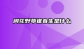 闲花野草逢春生是什么