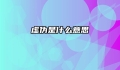虚伪是什么意思