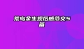 荒岛余生观后感范文5篇