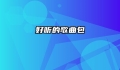 好听的歌曲包