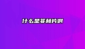 什么是菲林片啊