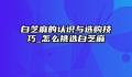 白芝麻的认识与选购技巧_怎么挑选白芝麻