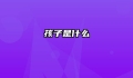 孩子是什么