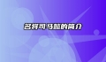 名将司马懿的简介