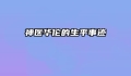 神医华佗的生平事迹