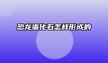 恐龙蛋化石怎样形成的