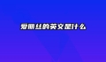 爱丽丝的英文是什么