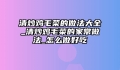 清炒鸡毛菜的做法大全_清炒鸡毛菜的家常做法_怎么做好吃