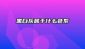 黑白灰属于什么色系
