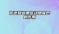 你还知道哪些动物尾巴的作用