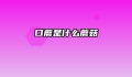 口蘑是什么蘑菇