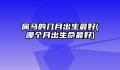 属马的几月出生最好(哪个月出生命最好)