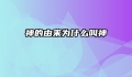神的由来为什么叫神