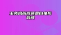 玉兔捣药成还是白兔捣药成
