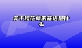 关于樱花草的花语是什么