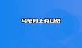乌龟身上有白斑