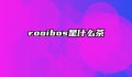 rooibos是什么茶