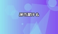 薄巧是什么