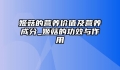 姬菇的营养价值及营养成分_姬菇的功效与作用