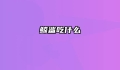 鲸鲨吃什么