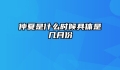 仲夏是什么时候具体是几月份