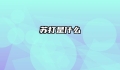 苏打是什么