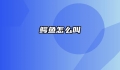 鳄鱼怎么叫