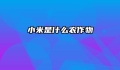 小米是什么农作物