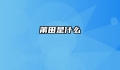 莆田是什么