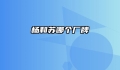杨和苏哪个厂牌