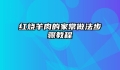 红烧羊肉的家常做法步骤教程