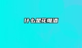 什么是花雕酒