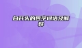 自开头的四字词语及解释