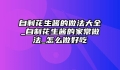 自制花生酱的做法大全_自制花生酱的家常做法_怎么做好吃