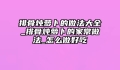 排骨炖萝卜的做法大全_排骨炖萝卜的家常做法_怎么做好吃