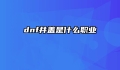 dnf井盖是什么职业